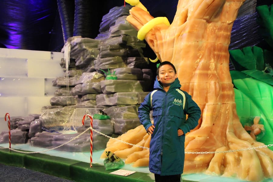 Darren standing in an indoor ice sculpture exhibit